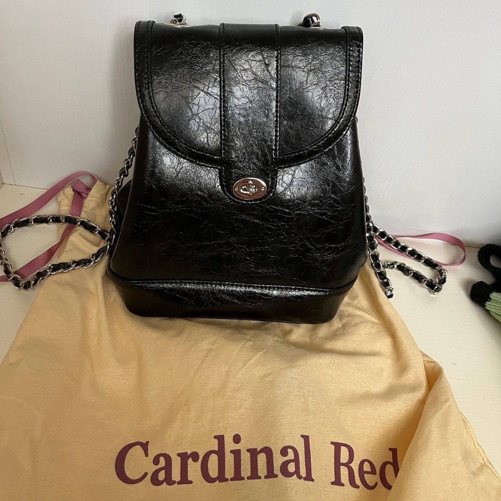 NWOT Cardinal red small backpack black and silver with dust bag